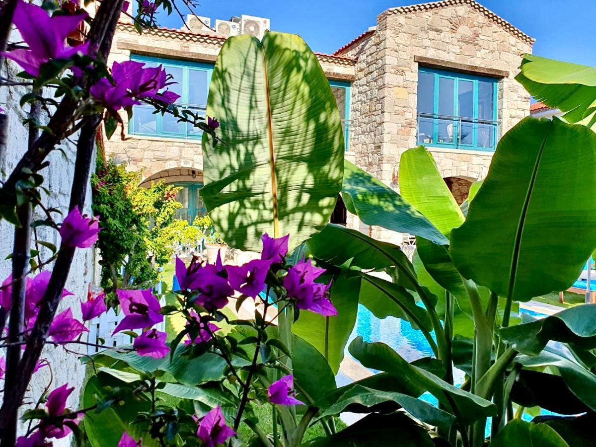 Windmill Alaçatı Exteriér fotografie